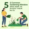 5 Common Gardening Mistakes and How to Avoid Them